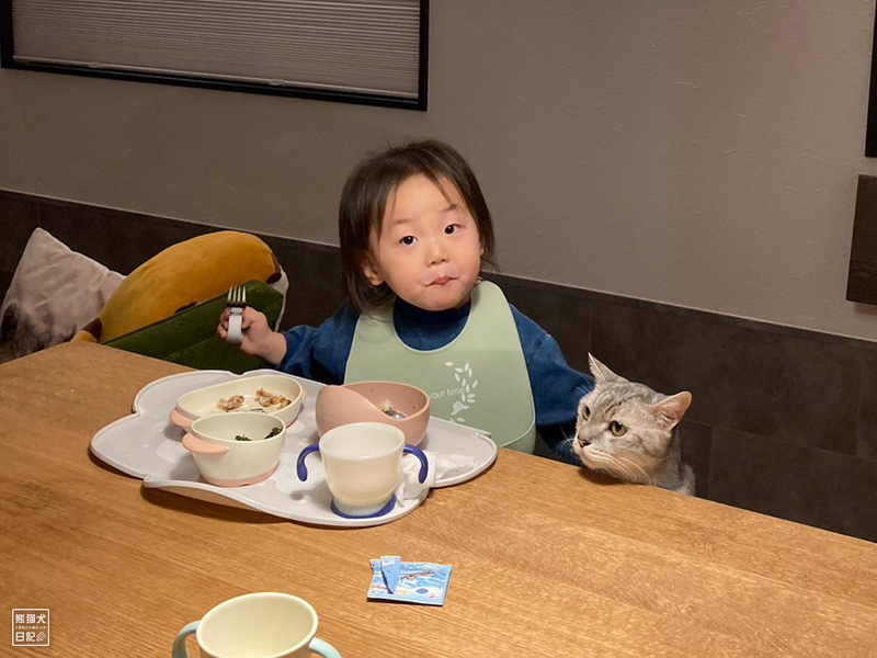 生首 我が家の夕食スタイル ～ 生首疑惑 | 熊猫犬日記