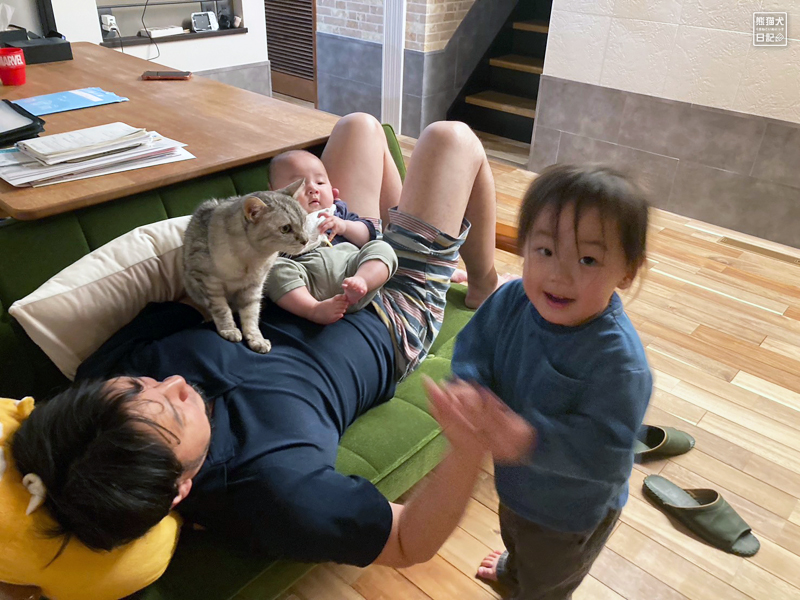 猫と子供たち