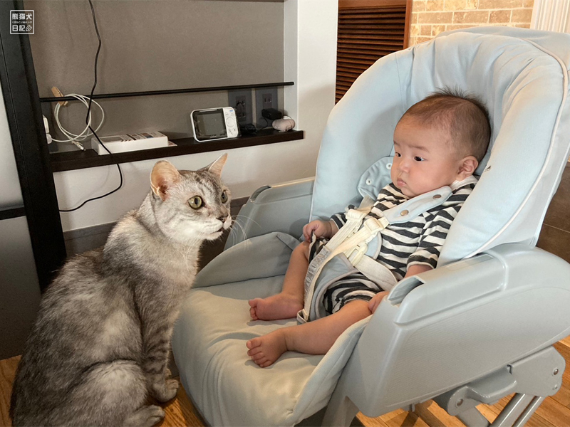 猫兄と乳児