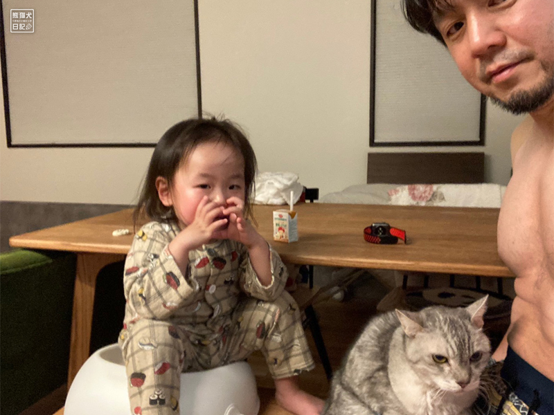 三歳児と天然猫