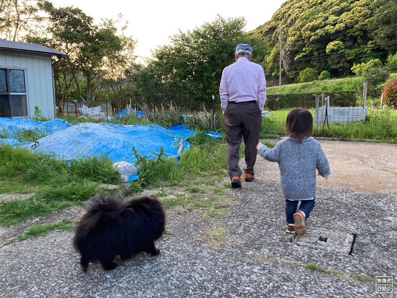 黒ポメラニアン志熊と小倅