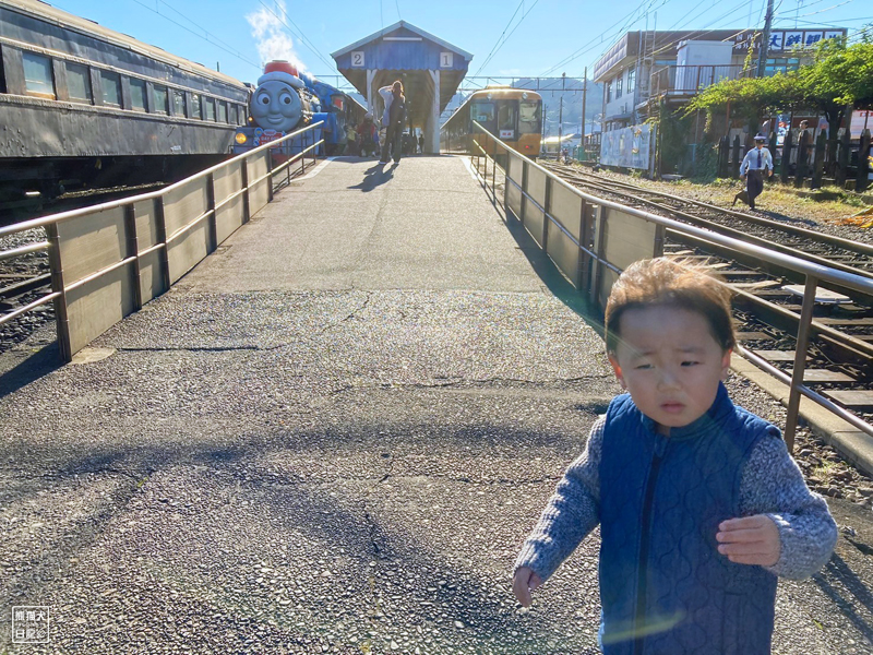 小倅と大井川鉄道のきかんしゃトーマス