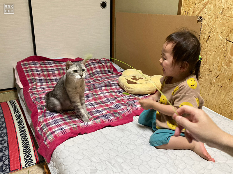 天然猫の寿喜と小倅