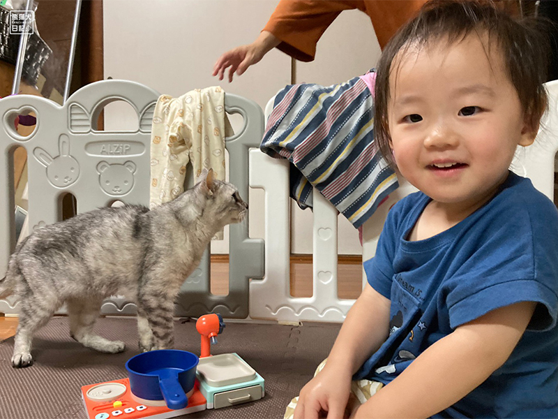 天然猫の寿喜と小倅