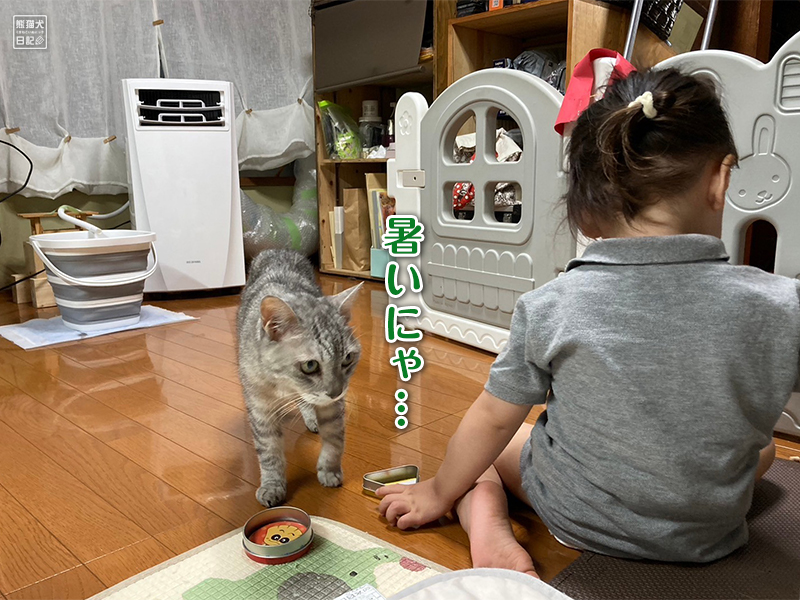 天然猫の寿喜と小倅