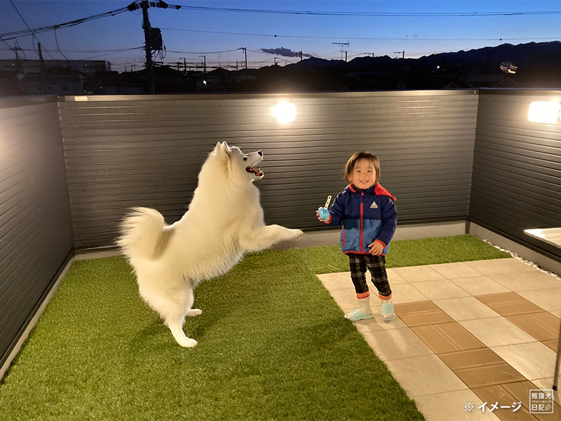 サモエドと小倅