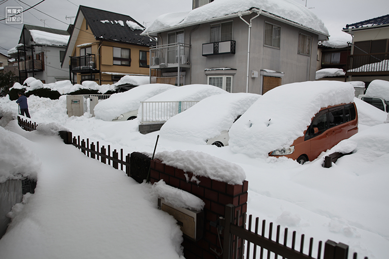 2014年の大雪