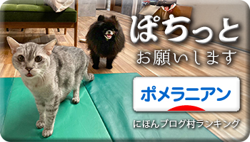 にほんブログ村