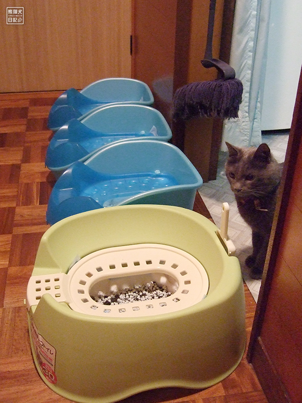 石像猫にいな