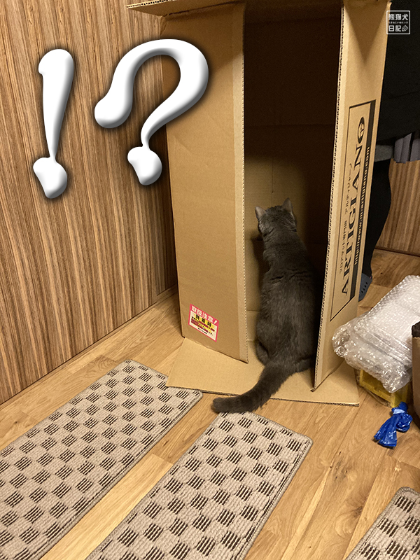 石像猫にいな