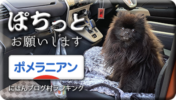にほんブログ村