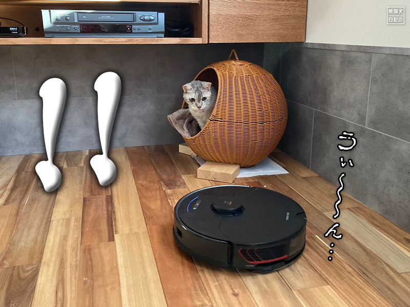 猫とロボット掃除機