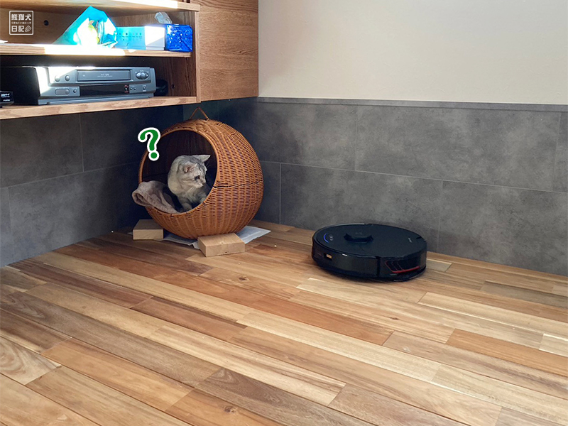 猫とロボット掃除機