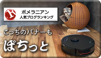 人気ブログランキング