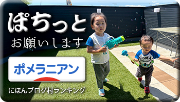 にほんブログ村