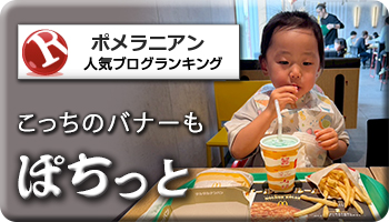 人気ブログランキング