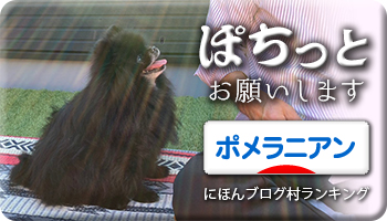 にほんブログ村