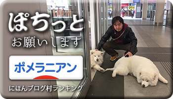 にほんブログ村