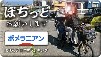 にほんブログ村