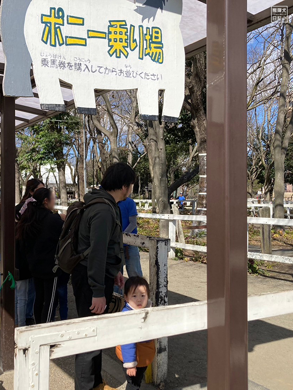 小倅のポニー乗馬