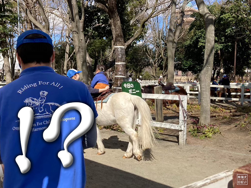 小倅のポニー乗馬