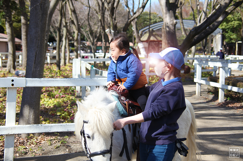 小倅のポニー乗馬
