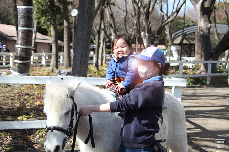 小倅のポニー乗馬