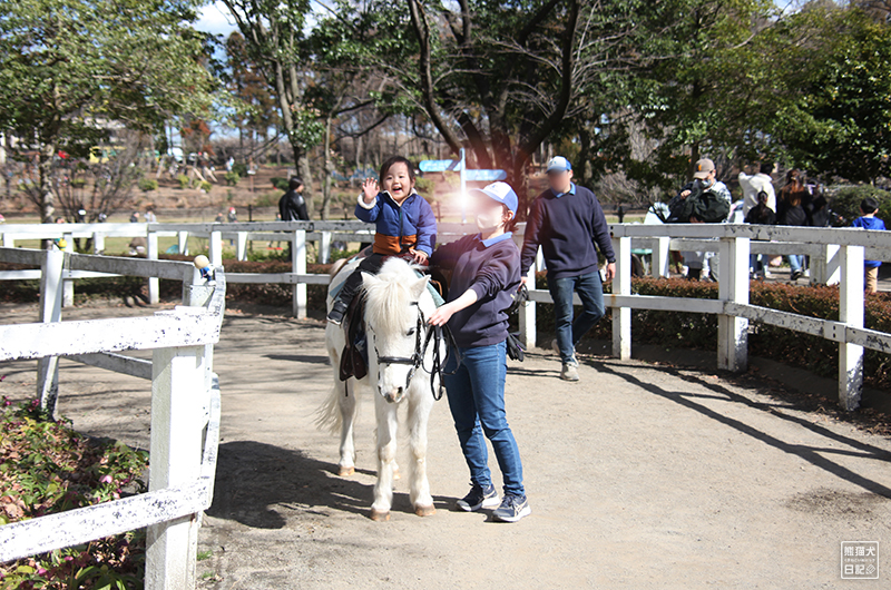 小倅のポニー乗馬