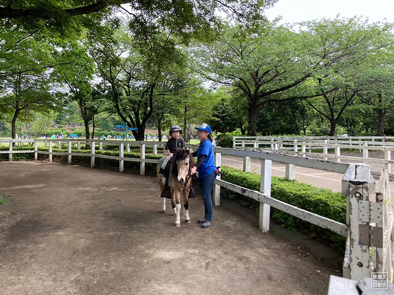小倅のポニー乗馬