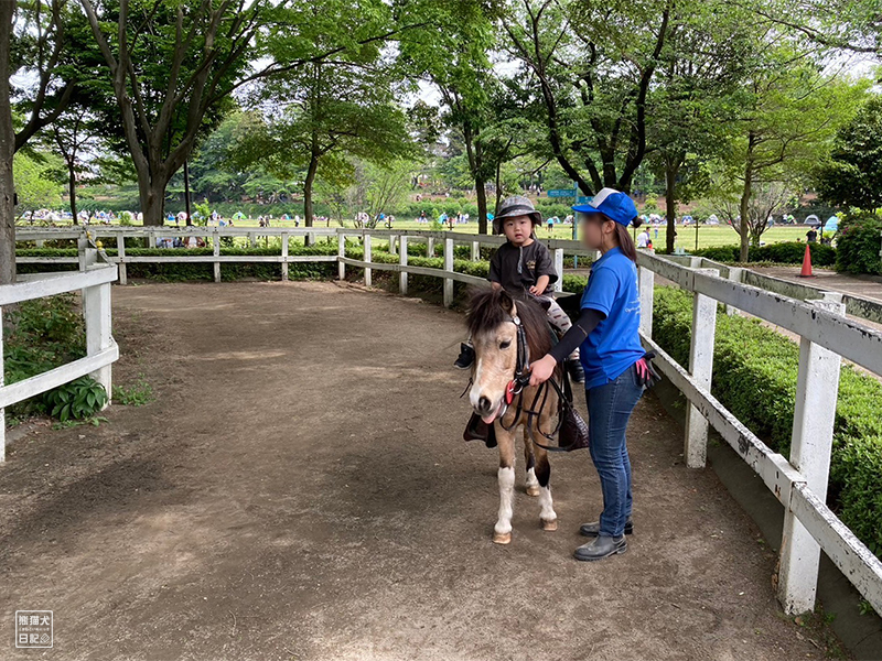 小倅のポニー乗馬