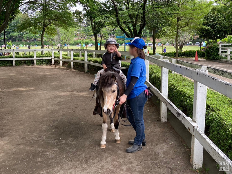 小倅のポニー乗馬