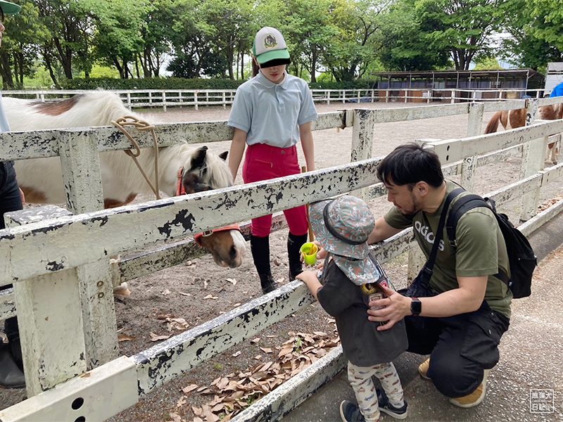 小倅のポニー乗馬