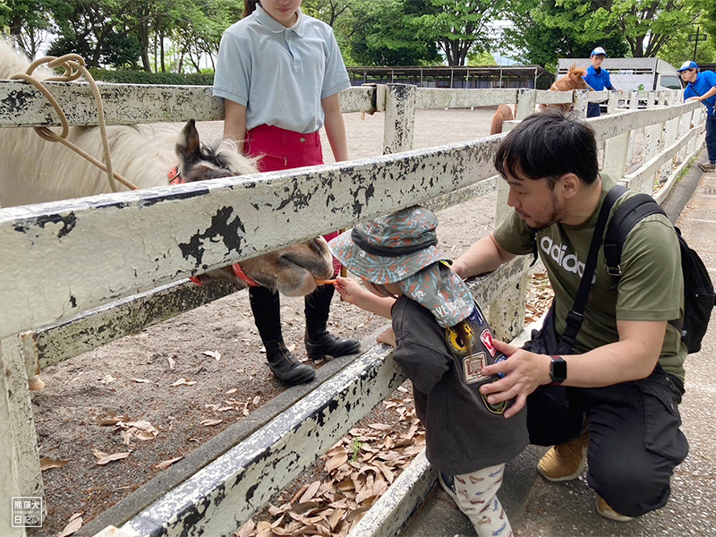 小倅のポニー乗馬