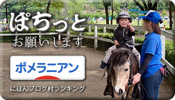 にほんブログ村
