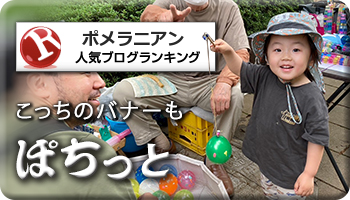 人気ブログランキング