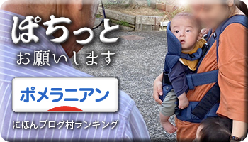 にほんブログ村