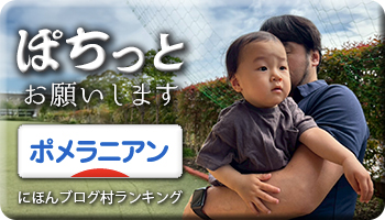 にほんブログ村