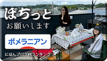 にほんブログ村