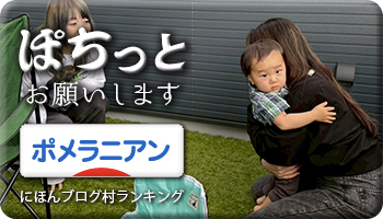 にほんブログ村