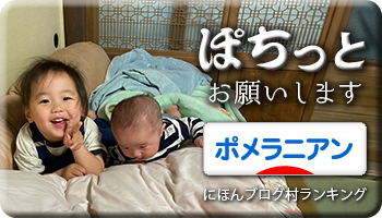 にほんブログ村