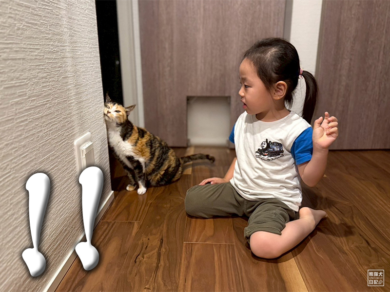 ツンデレ三毛猫の稚葉と小倅