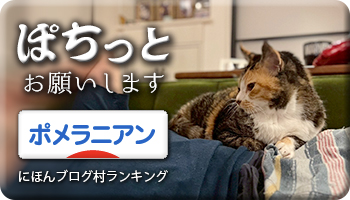 にほんブログ村
