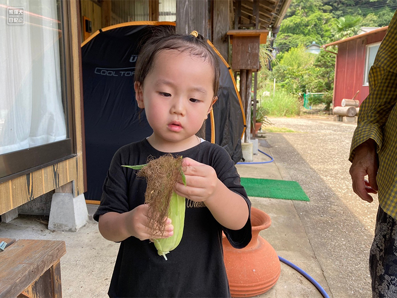 小倅がトウモロコシ収穫