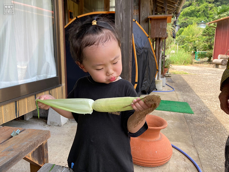 小倅がトウモロコシ収穫
