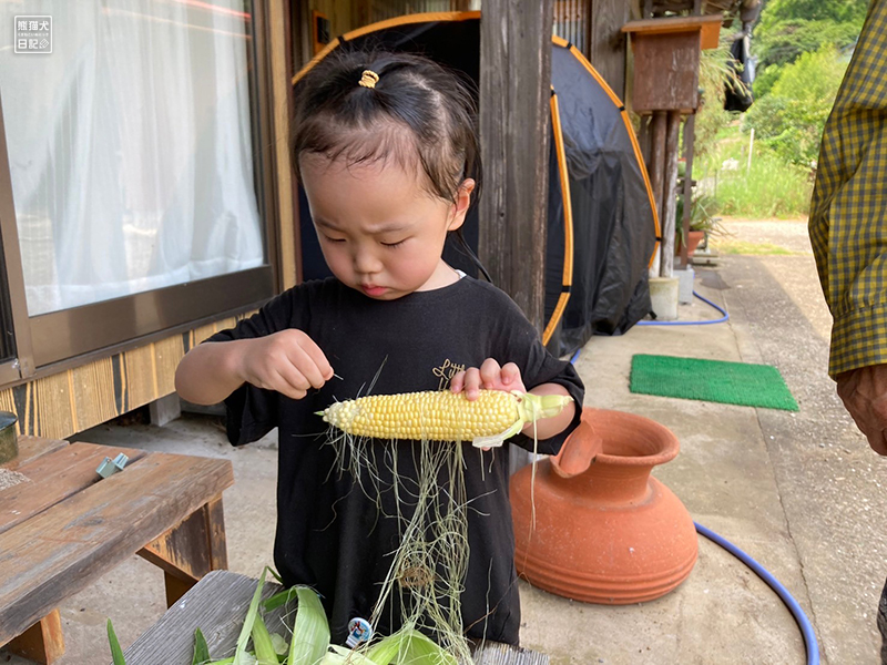 小倅がトウモロコシ収穫