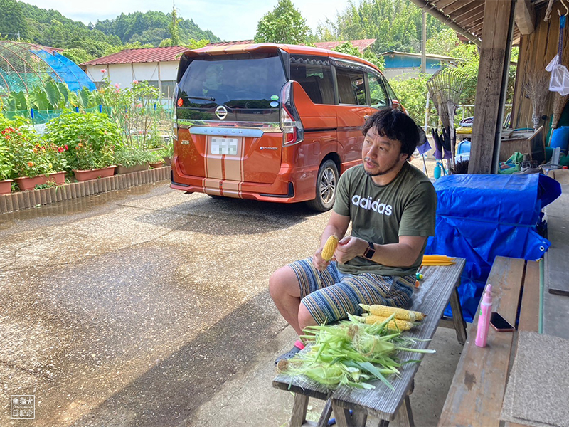 トウモロコシ収穫