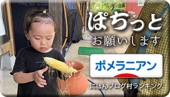 にほんブログ村