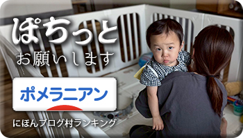 にほんブログ村