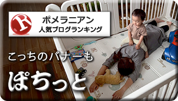 人気ブログランキング