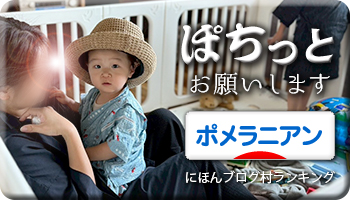 にほんブログ村